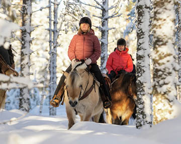 sleigh ride trysil østby