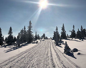 cross country skiing trysil
