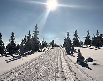 cross-country skiing