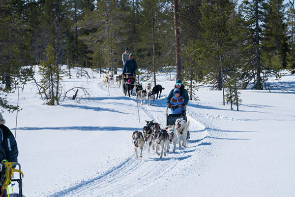 hundeslede østby