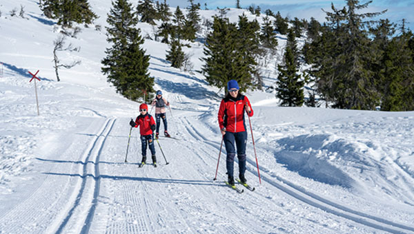 langrenn østby trysil