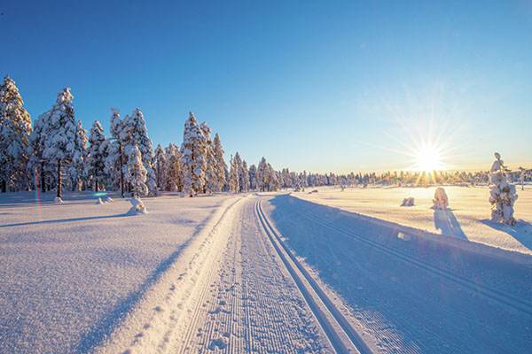 langrenn østby trysil